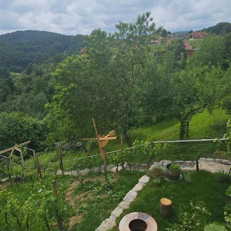 Zidanica Muhic Βίλα Dolenjske Toplice Εξωτερικό φωτογραφία